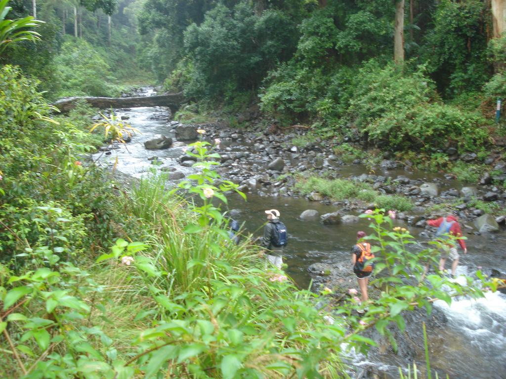 Christmas Creek Cafe & Cabins Lamington Bagian luar foto
