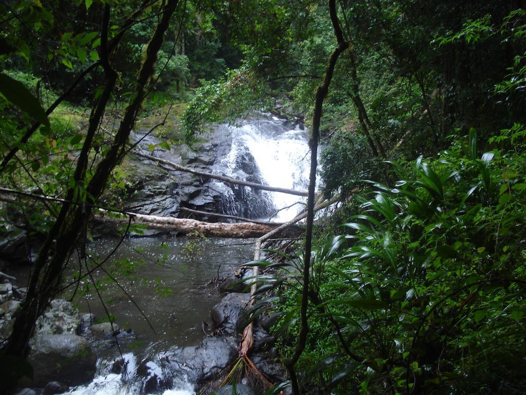 Christmas Creek Cafe & Cabins Lamington Bagian luar foto